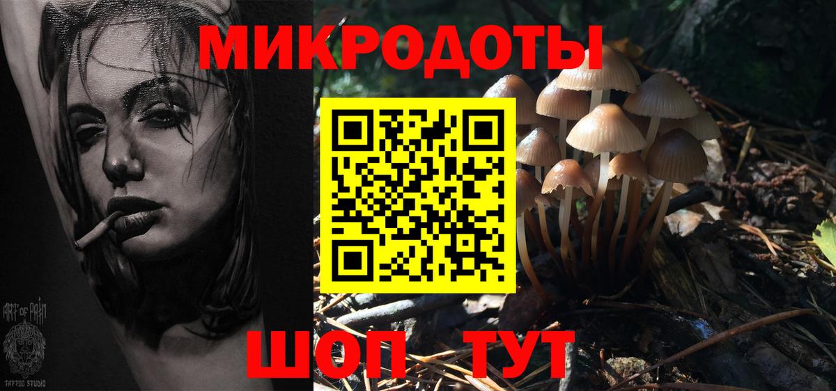 Кропоткин  Галлюциногенные грибы Psilocybine cubensis  Вход с VPN 