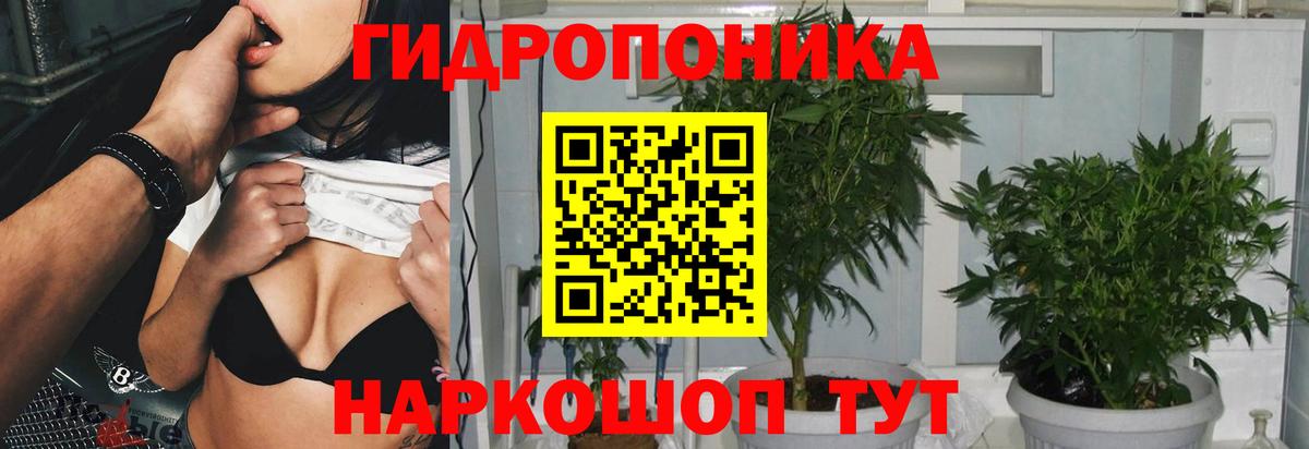 Бошки марихуана Ganja Кропоткин
